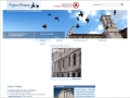 Dispositif anti pigeon