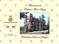 Ch�teau Mont Suzey - Chambres d'h�tes - Sologne